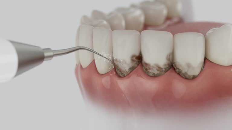 Reliable Dental contractor in Stockton, IL by Dentist Open Now